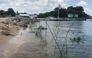 Living Nursery Site at the Lake Conroe Dam