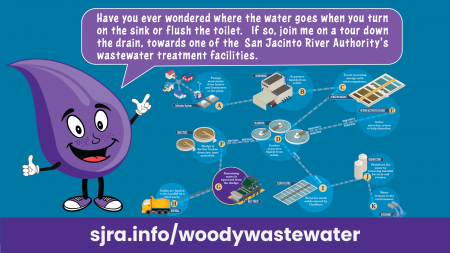 Where does the water go