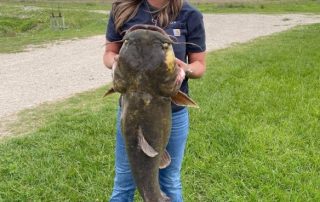 45lb catfish