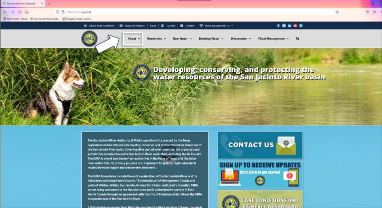 Home Page About Home Page About