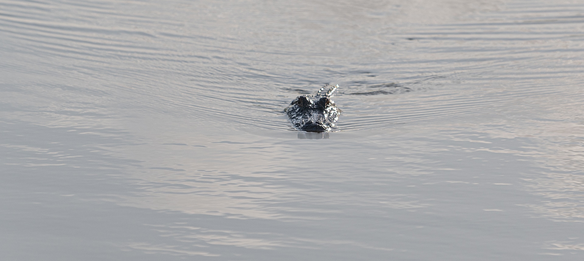 SJRA-header-images-29