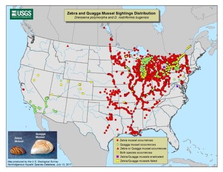 USGS_Zebra Mussel USGS_Zebra Mussel