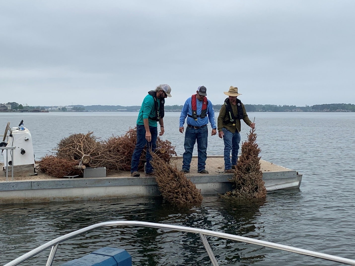 SJRA staff deploys trees in Lake Conroe San Jacinto River Authority