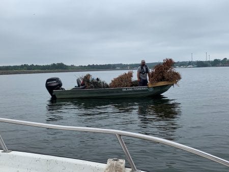 Texas Parks and Wildlife staff deploy trees in Lake Conroe
