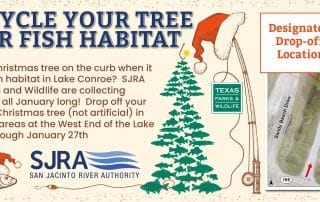 christmas-tree-recycle