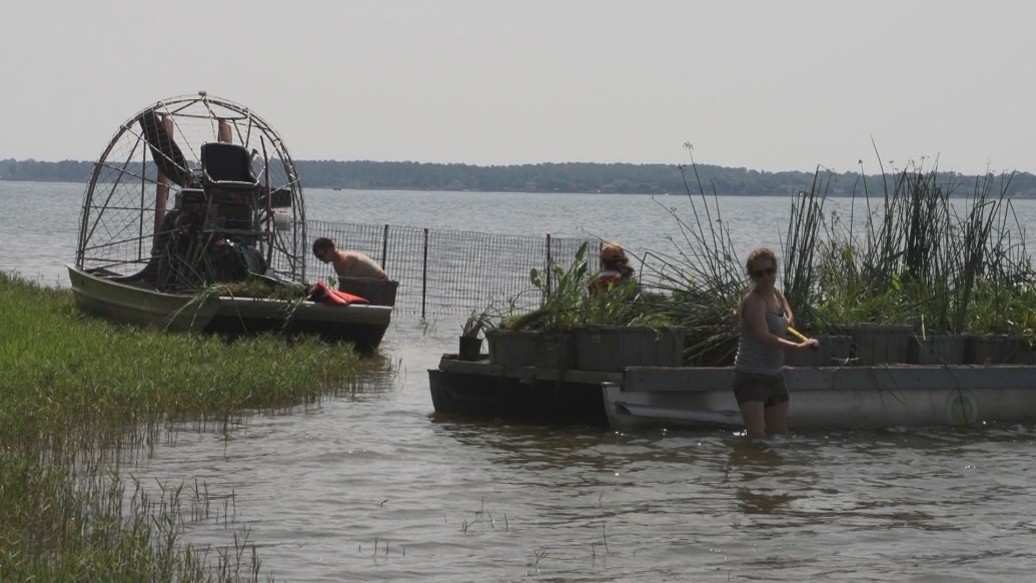 Picture of an airboat on Lake Conroe