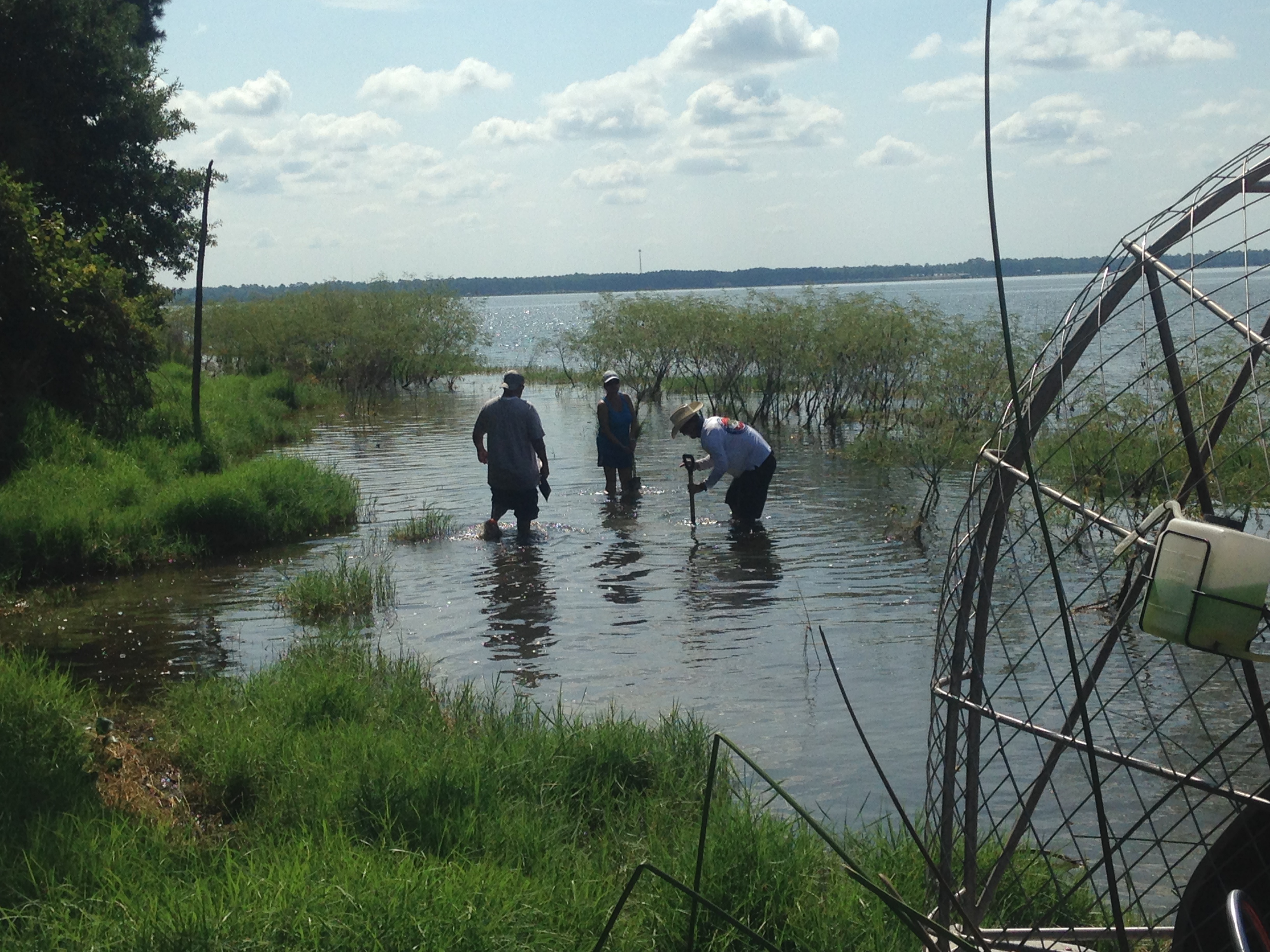 native species planting